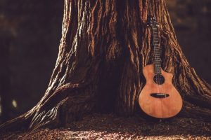 guitarra acústica en árbol